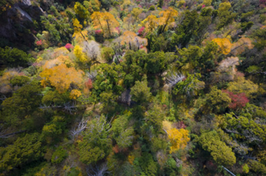 走进浙江百县千村,赏秋日诗画浙江,品杭州诱人美食