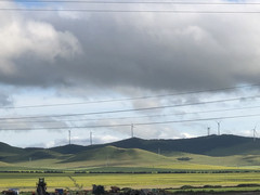 扎兰屯游记图片] 漫游记｜从此我见过呼伦贝尔的风