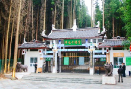 (重庆黄水旅游度假区)毕兹卡绿宫景点图片