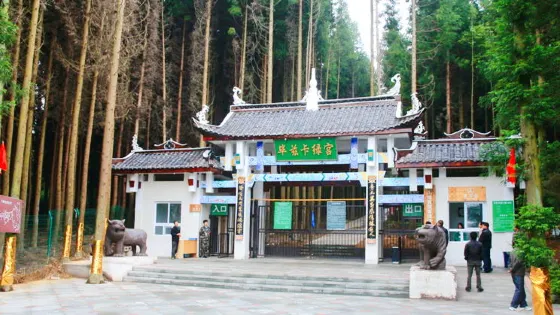 (重慶黃水旅遊度假區)畢茲卡綠宮