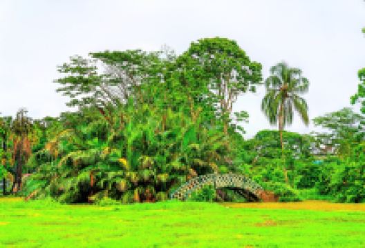Guyana Botanical Gardens景点图片