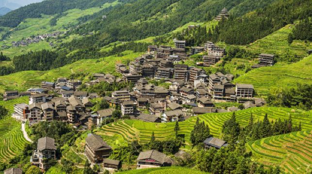 龍脊梯田風景名勝區-古壯寨