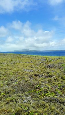 喷洞-天宁岛-天意
