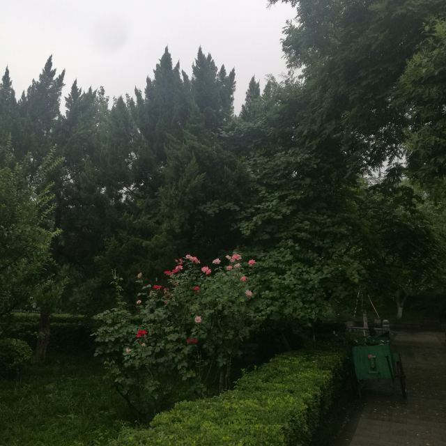莲湖公园旅行图片 6