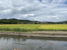 洗衣亭-腾冲-YoYo_2D7D8A9R