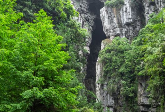 重庆武隆天生三桥+仙女山国家森林公园【纯玩/可选/8人小团】【[贴心服务]全程管家式服务，客服耐心热情、24小时在线随时联系、放心出游】