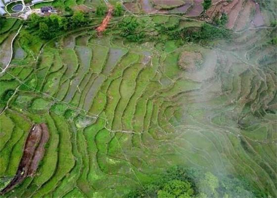 广东清远连南千年瑶寨云山民宿客栈 ，众美女云集，只为瑶族盛宴