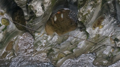 建始游记图片] 疫后湘西、鄂西自驾游（续十四）