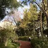 祥和公园旅行图片 4