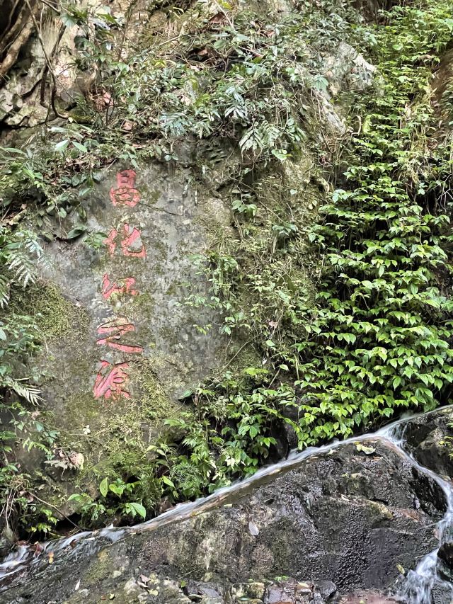 海南热带雨林国家公园五指山景区旅行图片 4