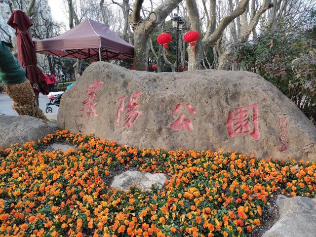 襄阳公园旅行图片 4