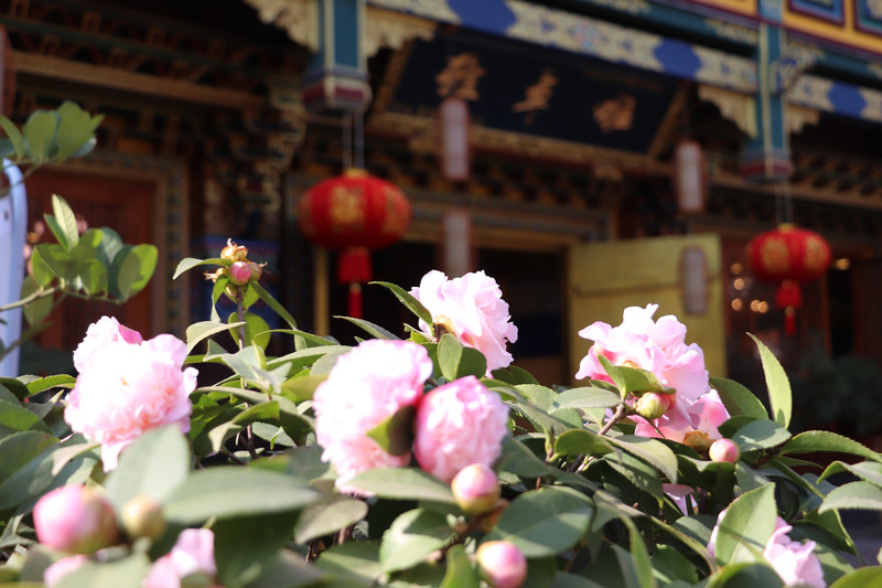 昆明旅游网