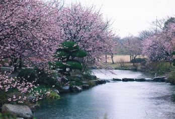 无锡市鼋头渚+灵山大佛+拈花湾【 多种车型景点可选】【深度感受无锡人文，品尝巷子里的美食，不需要早起】
