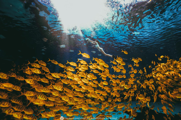 来一次小众海南游,轻松GET自由潜+水下摄影🧜♀️