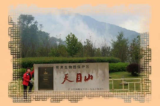 去杭州,一定去天目山看看,那里的美,让人心醉~