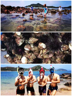 海边烧烤+小岛赶海挖螺钓鱿鱼仔+超清水质浮潜