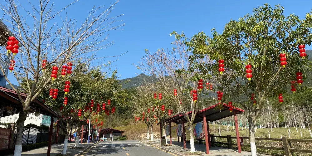 永安旅遊