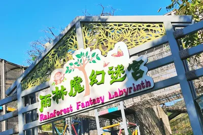 雨林魔幻迷宫