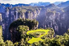 空中田园-张家界-彪标