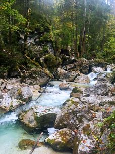 魔法森林-拉姆绍-爱喝茶的辰琪哥