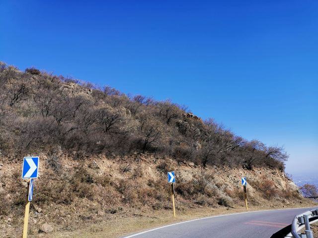 玫瑰谷旅行图片 12