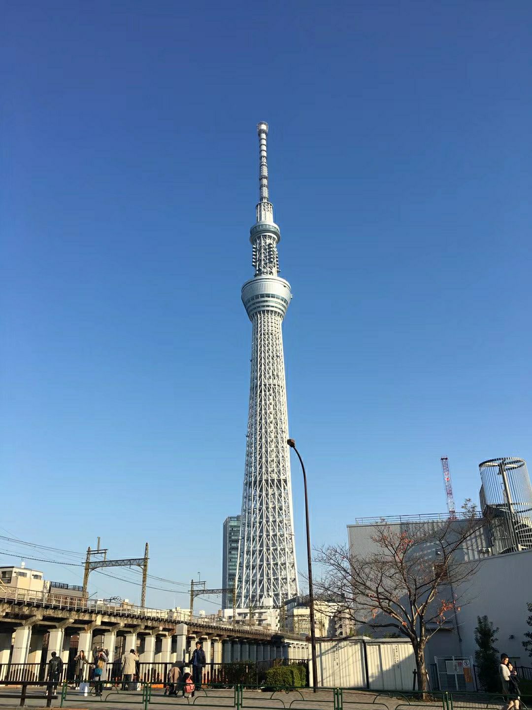 Seafood Restaurant Donya餐厅图片