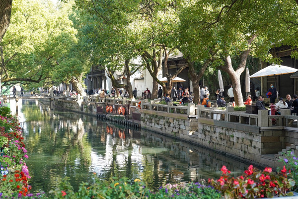 沉醉在江南诗画里 打卡《司藤》取景地