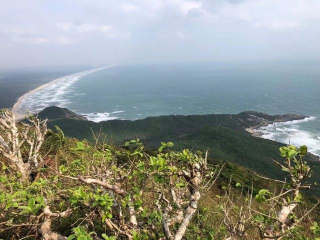 东郊椰林风景名胜区旅行图片 3