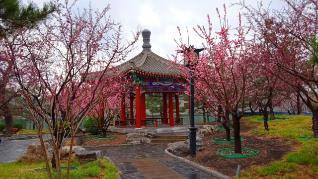 地坛公园旅行图片 1