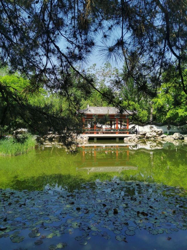 宣武艺园旅行图片 1