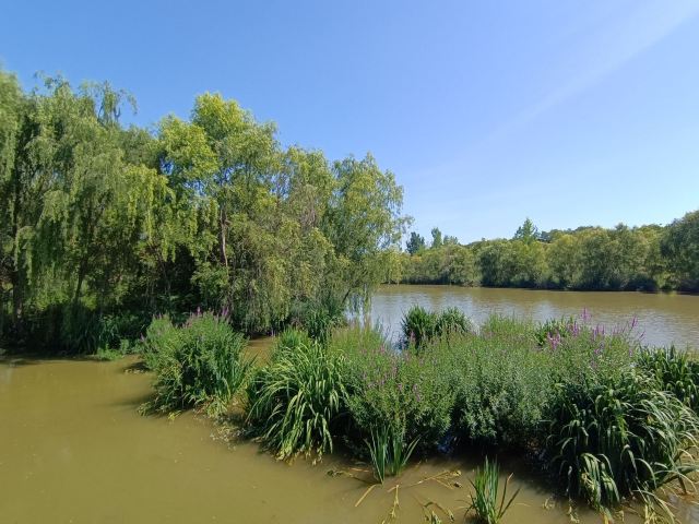 西安浐灞国家湿地公园旅行图片 3