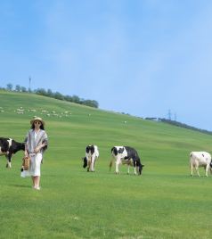 大连湾街道游记图文-【马玛丽旅行志】山海远阔，自由又浪漫，在25度的大连过夏天