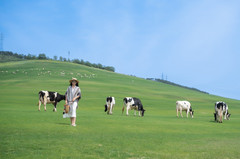 大连湾街道游记图片] 【马玛丽旅行志】山海远阔，自由又浪漫，在25度的大连过夏天