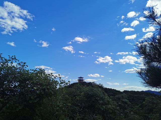 大石山森林公园旅行图片 9