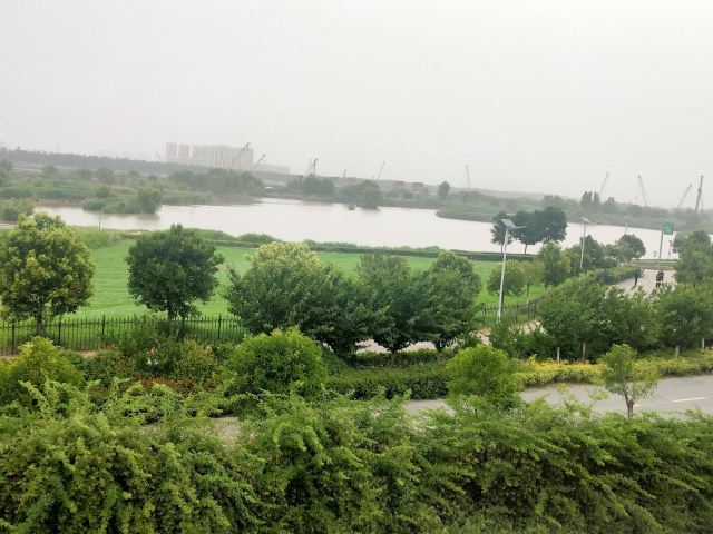 灞渭生态滩区旅行图片 5