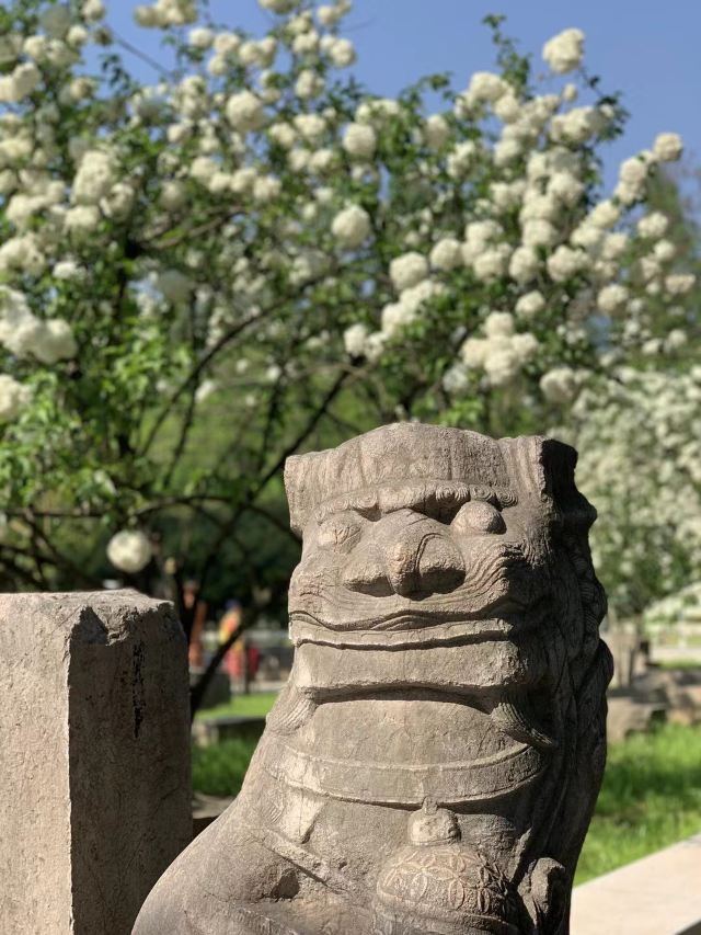 午朝门公园旅行图片 9