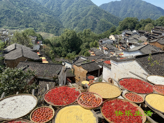 拔草之旅-庐山、婺源、南京