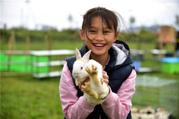 春节假期去广州幸福田园犇牛牧场,让孩子走进兔子童话世界