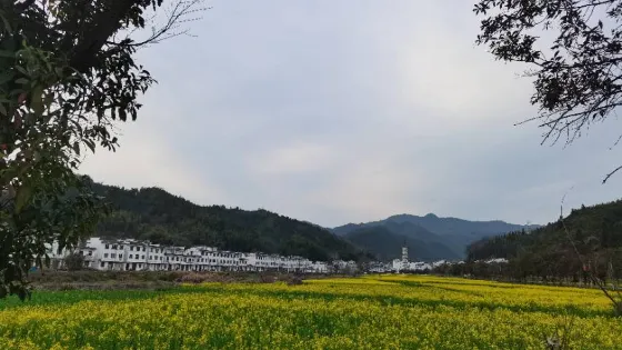 茶坑
