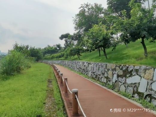 柏临河湿地公园
