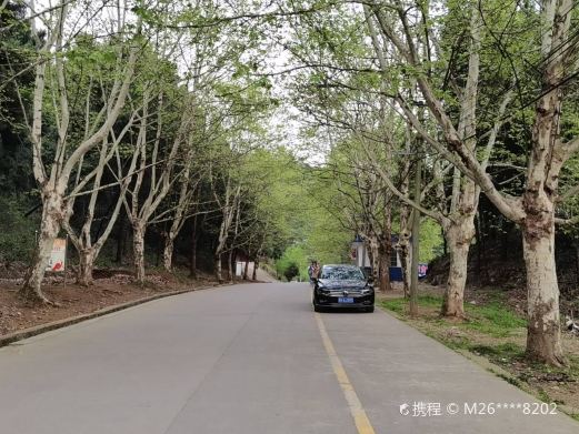 罗汉山森林公园