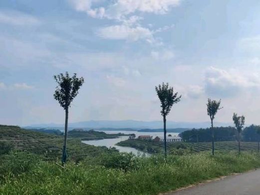 青龙山熊河风景区