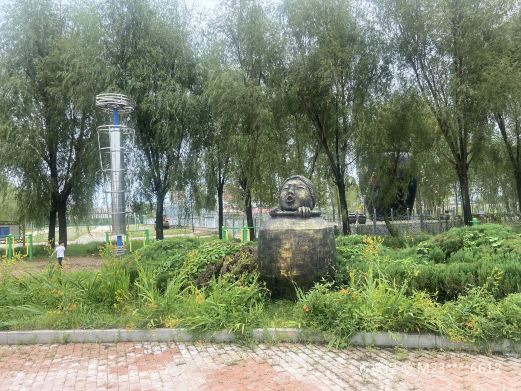 湿地公园