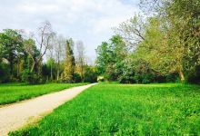 Arboretum Park Simeria景点图片
