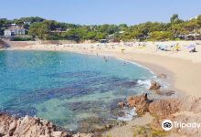 Cala Sa Conca景点图片