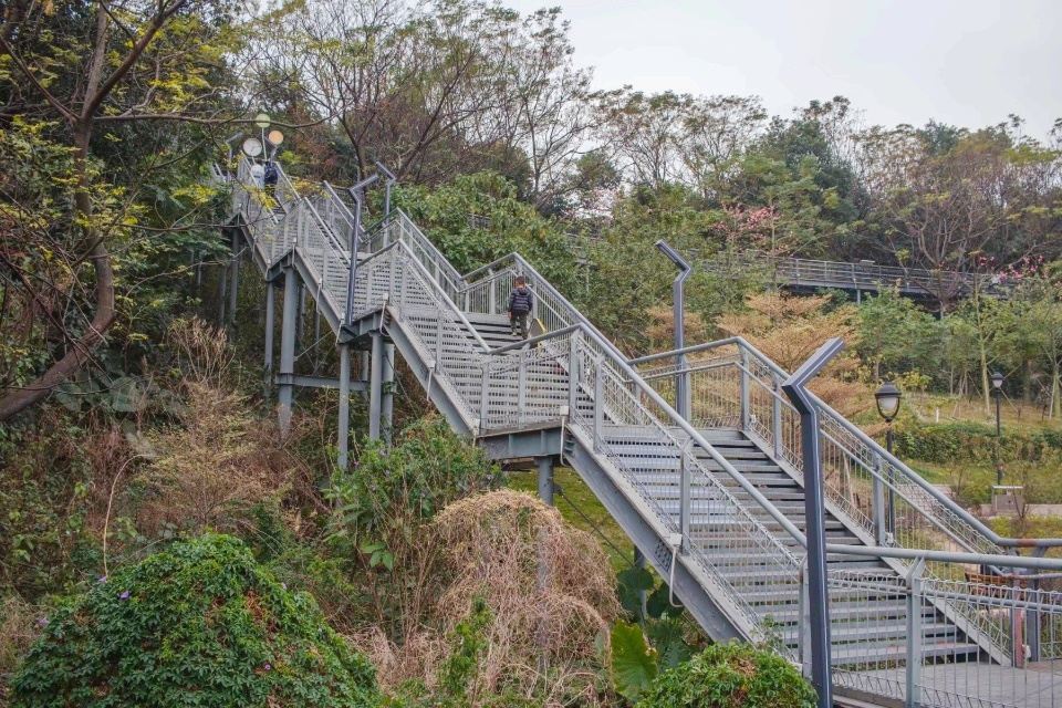 华盖山栈道