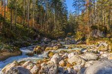 魔法森林-拉姆绍