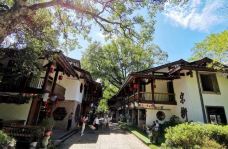 宋街-武夷山-镇小槟香