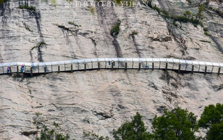 洛阳白云山有条挂壁玻璃栈道，比郭亮路还美，壁立千仞望之胆寒