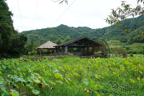 熟悉又陌生的景德镇之旅（五）——青白瓷器故里的进坑村